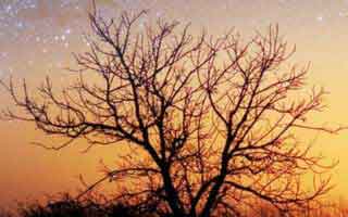 金牛女不适合双子男（金牛女跟双子男的匹配程度）