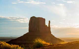 自媒体运营上海招聘（上海自媒体公司招聘）