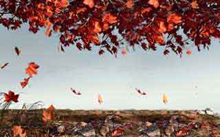 自媒体运营项目经验分享，自媒体运营工作流程