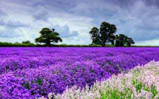 1夜网赚5000(一晚上赚5000怎么做到的)