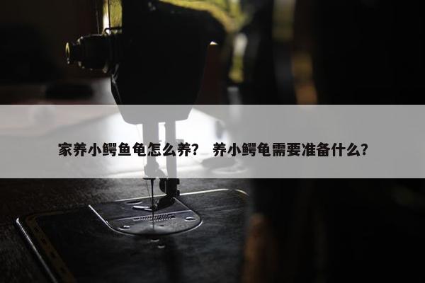 家养小鳄鱼龟怎么养？ 养小鳄龟需要准备什么？