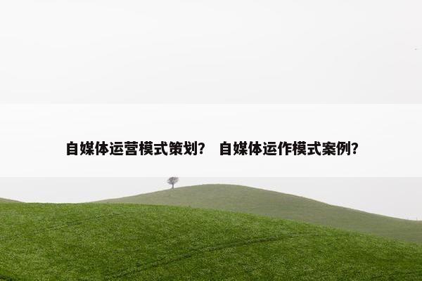 自媒体运营模式策划？ 自媒体运作模式案例？