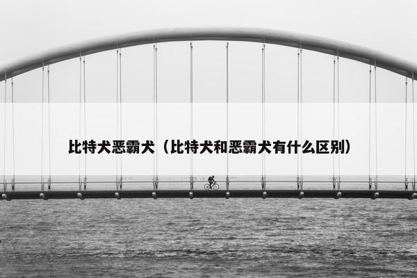 比特犬恶霸犬（比特犬和恶霸犬有什么区别）