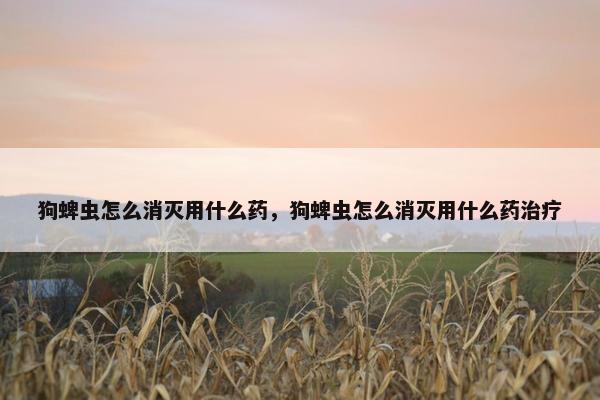 狗蜱虫怎么消灭用什么药，狗蜱虫怎么消灭用什么药治疗