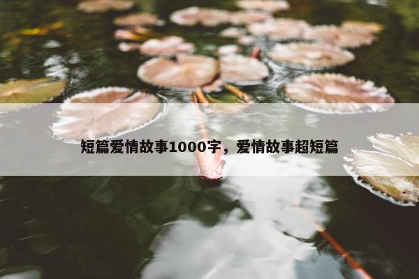 短篇爱情故事1000字，爱情故事超短篇
