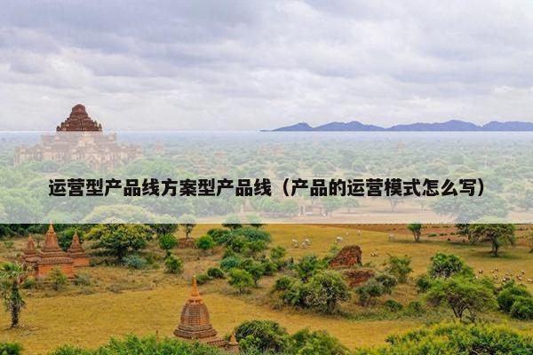 运营型产品线方案型产品线（产品的运营模式怎么写）