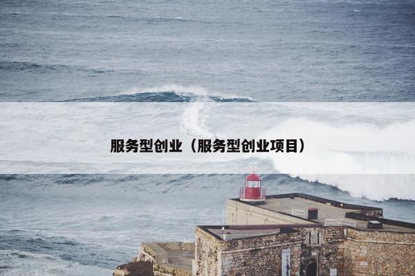 服务型创业（服务型创业项目）