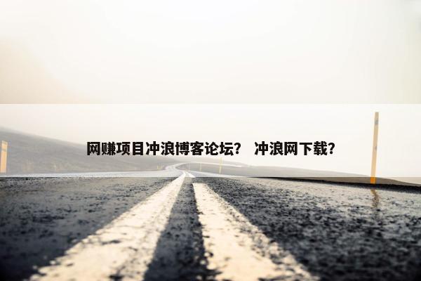网赚项目冲浪博客论坛？ 冲浪网下载？