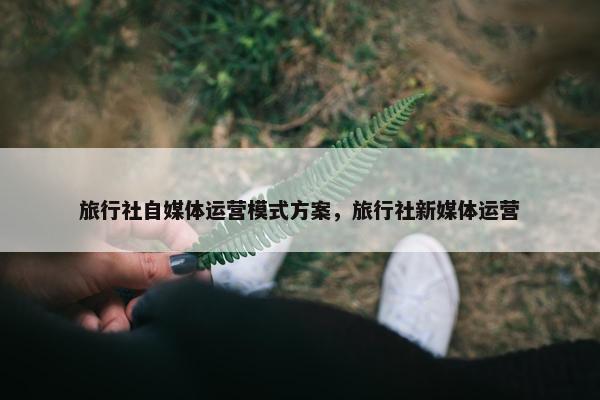 旅行社自媒体运营模式方案，旅行社新媒体运营