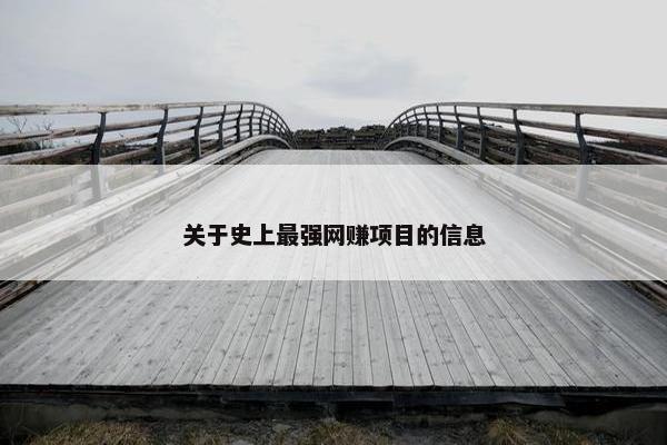 关于史上最强网赚项目的信息