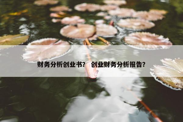 财务分析创业书？ 创业财务分析报告？