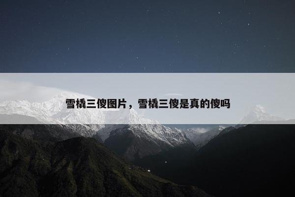 雪橇三傻图片，雪橇三傻是真的傻吗