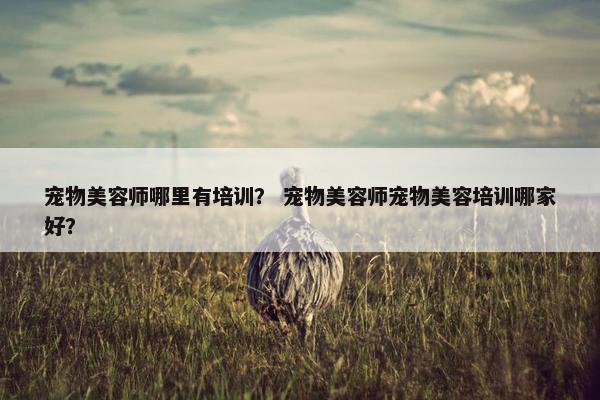 宠物美容师哪里有培训？ 宠物美容师宠物美容培训哪家好？