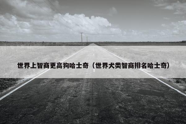 世界上智商更高狗哈士奇（世界犬类智商排名哈士奇）