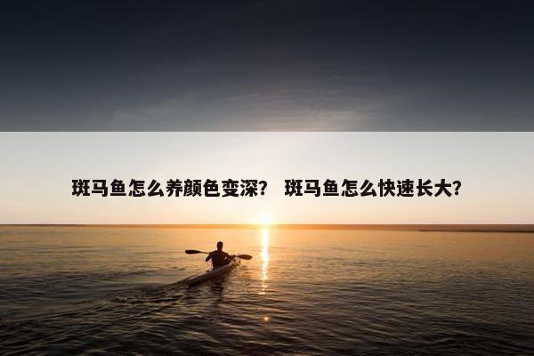 斑马鱼怎么养颜色变深？ 斑马鱼怎么快速长大？