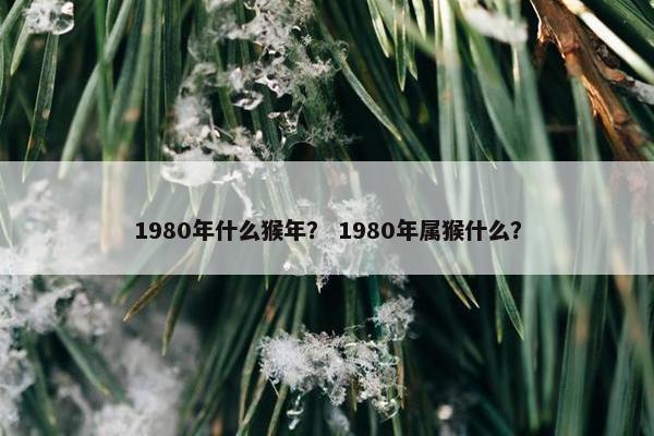 1980年什么猴年？ 1980年属猴什么？