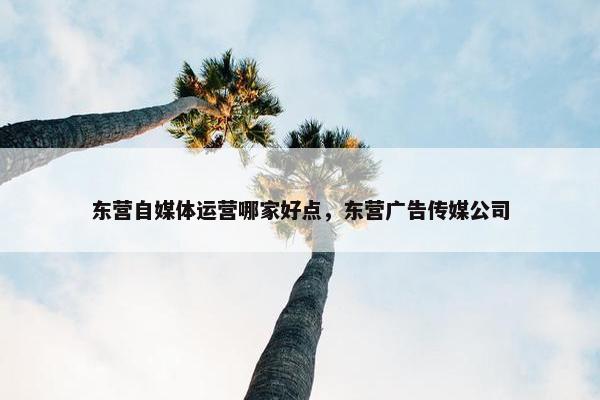 东营自媒体运营哪家好点，东营广告传媒公司