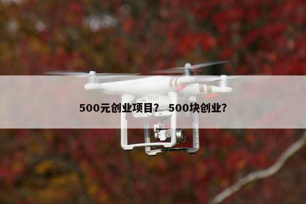 500元创业项目？ 500块创业？