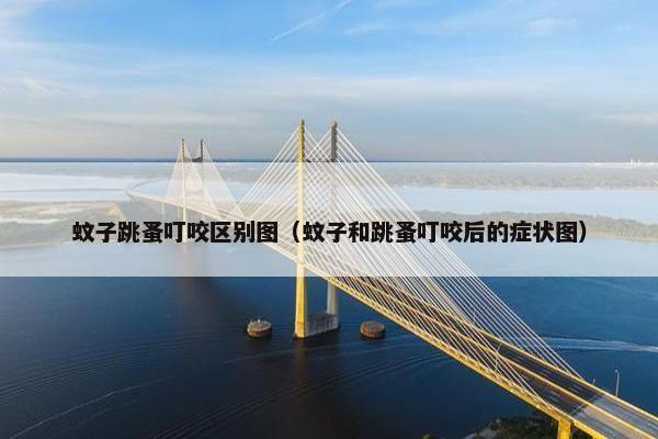 蚊子跳蚤叮咬区别图（蚊子和跳蚤叮咬后的症状图）