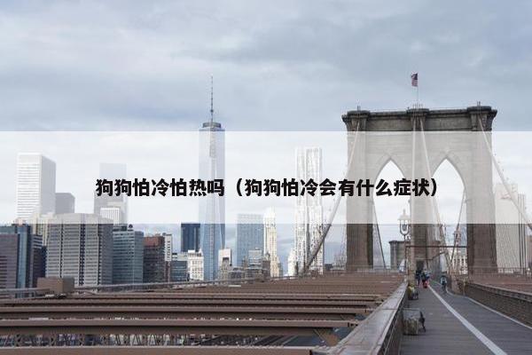 狗狗怕冷怕热吗（狗狗怕冷会有什么症状）