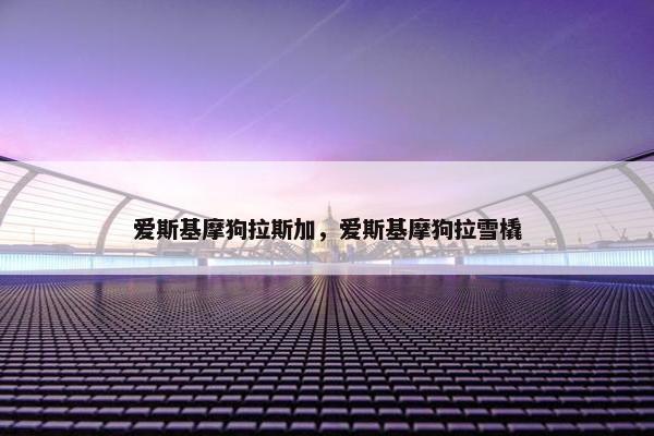 爱斯基摩狗拉斯加，爱斯基摩狗拉雪橇