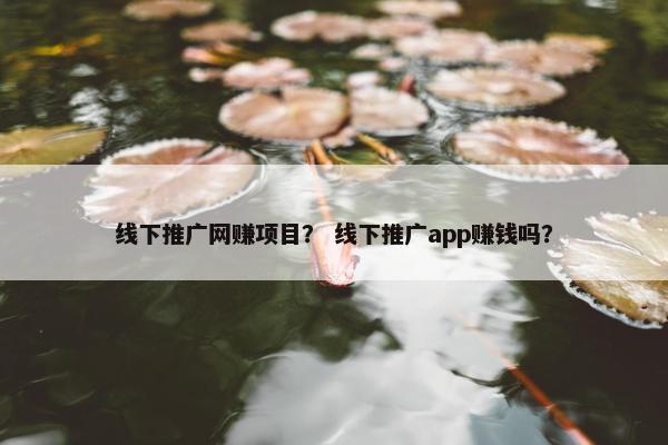 线下推广网赚项目？ 线下推广app赚钱吗？