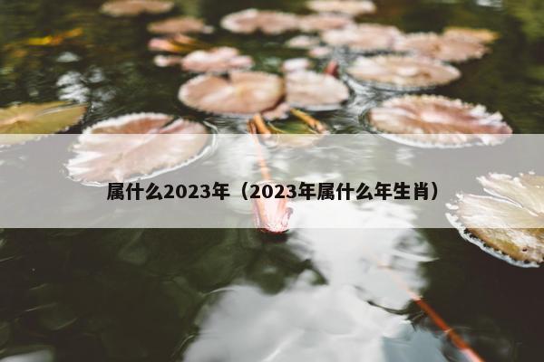 属什么2023年（2023年属什么年生肖）