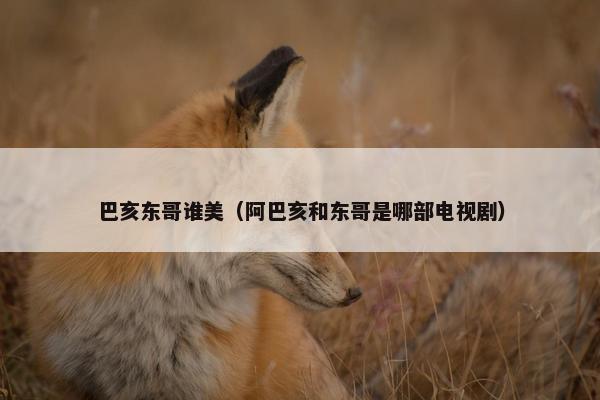 巴亥东哥谁美（阿巴亥和东哥是哪部电视剧）