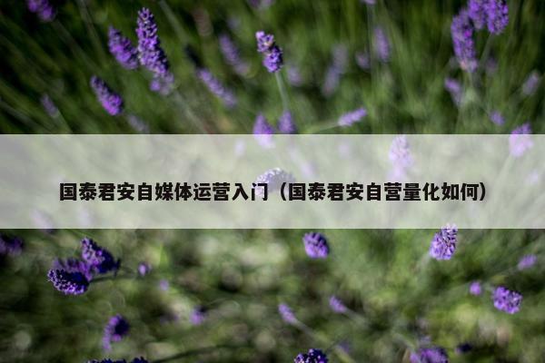 国泰君安自媒体运营入门（国泰君安自营量化如何）