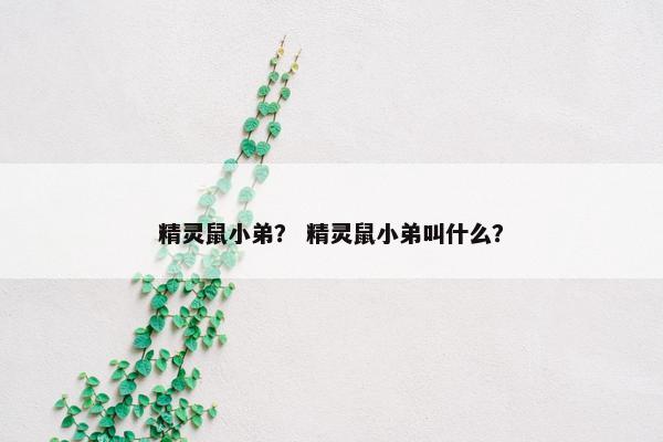 精灵鼠小弟？ 精灵鼠小弟叫什么？