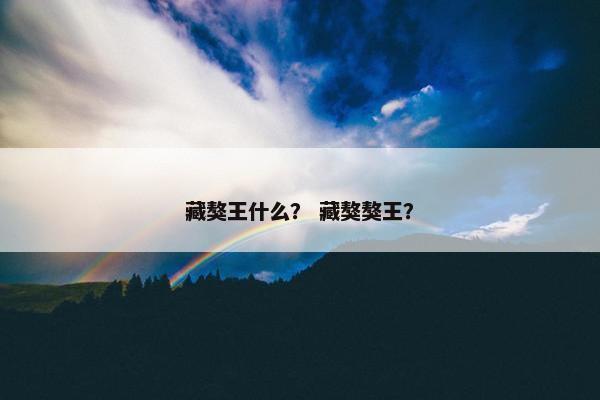 藏獒王什么？ 藏獒獒王？