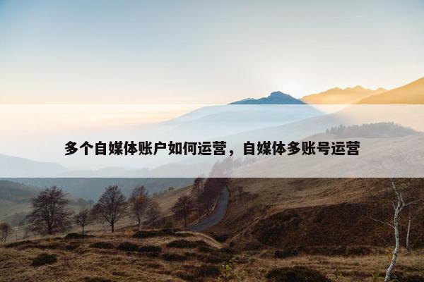 多个自媒体账户如何运营，自媒体多账号运营
