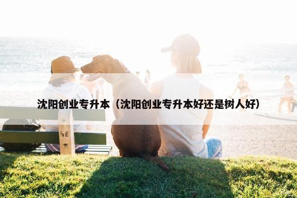 沈阳创业专升本（沈阳创业专升本好还是树人好）