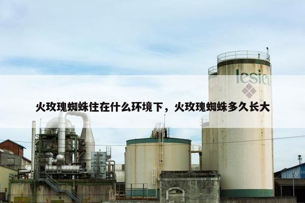 火玫瑰蜘蛛住在什么环境下，火玫瑰蜘蛛多久长大