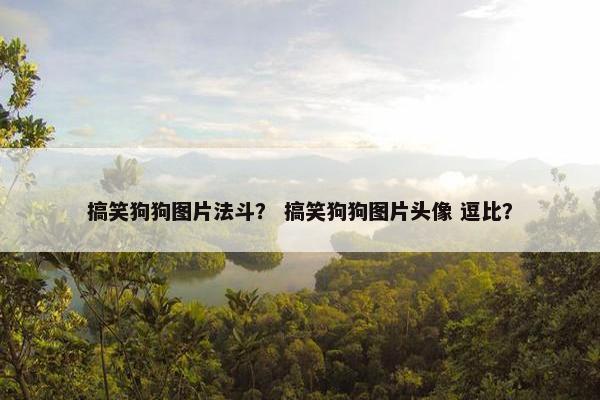 搞笑狗狗图片法斗？ 搞笑狗狗图片头像 逗比？