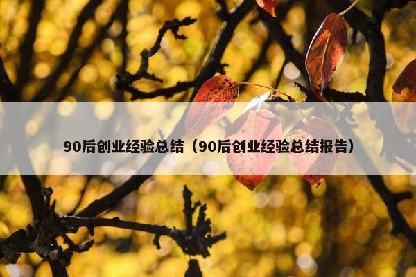 90后创业经验总结（90后创业经验总结报告）