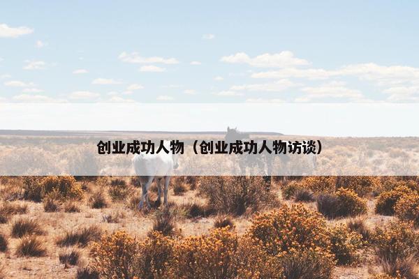 创业成功人物（创业成功人物访谈）