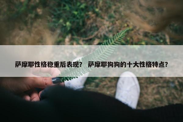 萨摩耶性格稳重后表现？ 萨摩耶狗狗的十大性格特点？
