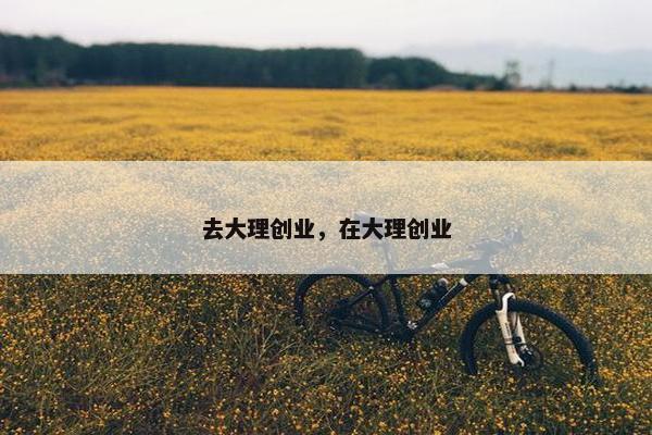 去大理创业，在大理创业