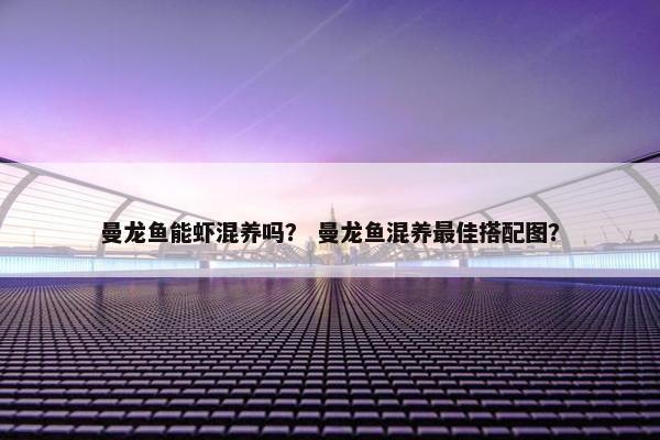 曼龙鱼能虾混养吗？ 曼龙鱼混养最佳搭配图？