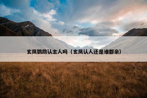 玄凤鹦鹉认主人吗（玄凤认人还是谁都亲）