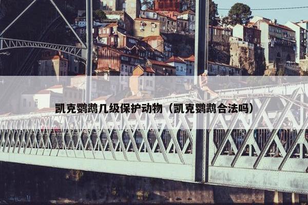 凯克鹦鹉几级保护动物（凯克鹦鹉合法吗）