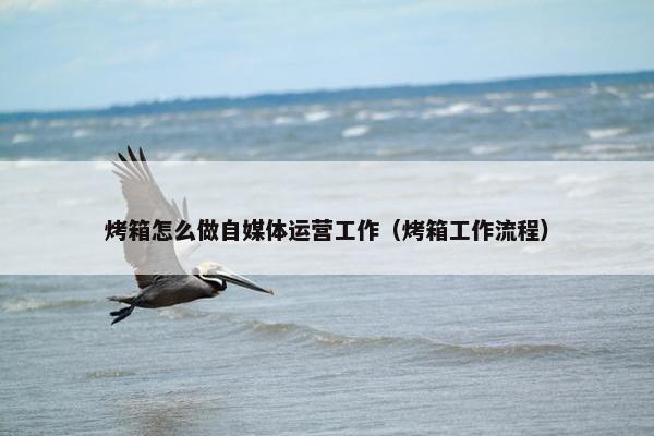 烤箱怎么做自媒体运营工作（烤箱工作流程）