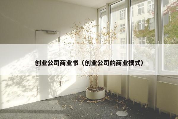 创业公司商业书（创业公司的商业模式）