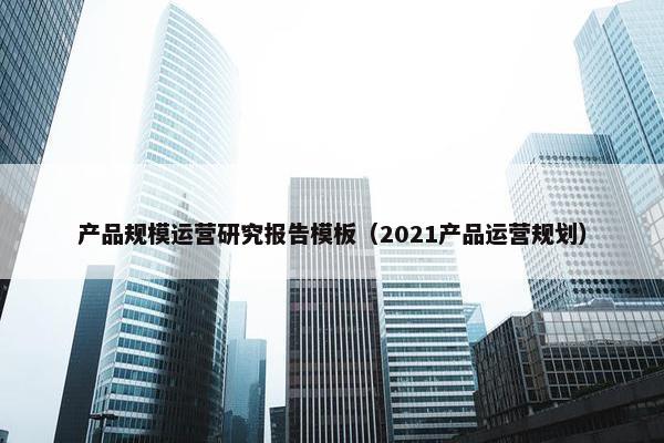 产品规模运营研究报告模板（2021产品运营规划）