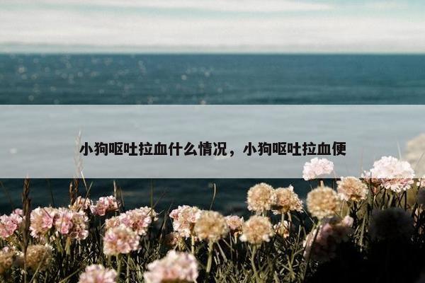 小狗呕吐拉血什么情况，小狗呕吐拉血便
