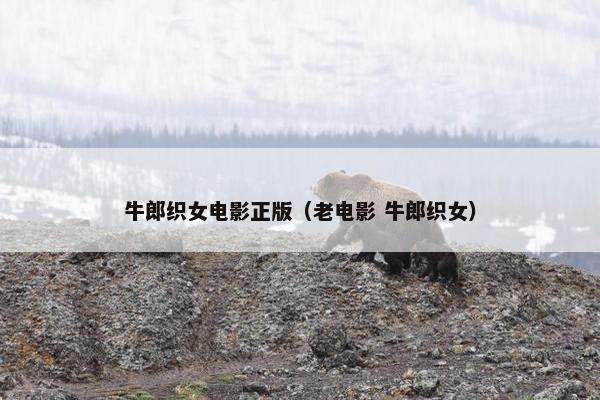牛郎织女电影正版（老电影 牛郎织女）