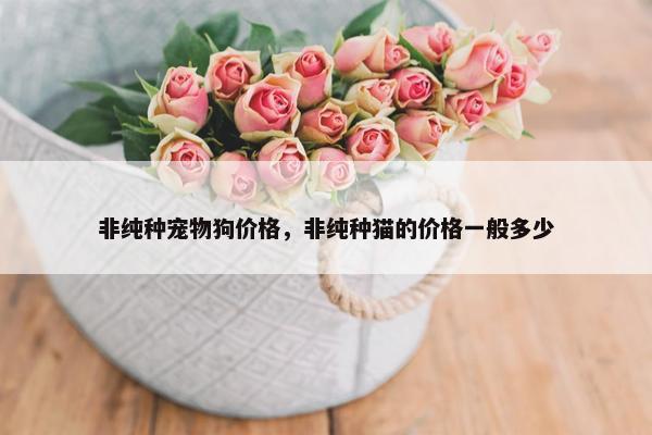 非纯种宠物狗价格，非纯种猫的价格一般多少