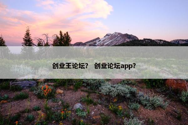 创业王论坛？ 创业论坛app？