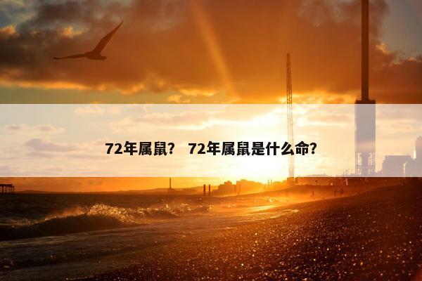 72年属鼠？ 72年属鼠是什么命？